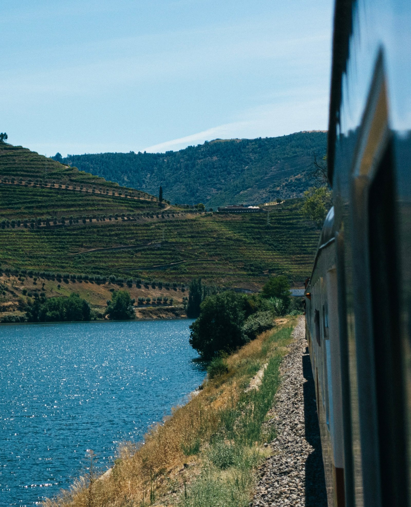 Douro Valley vineyards and river